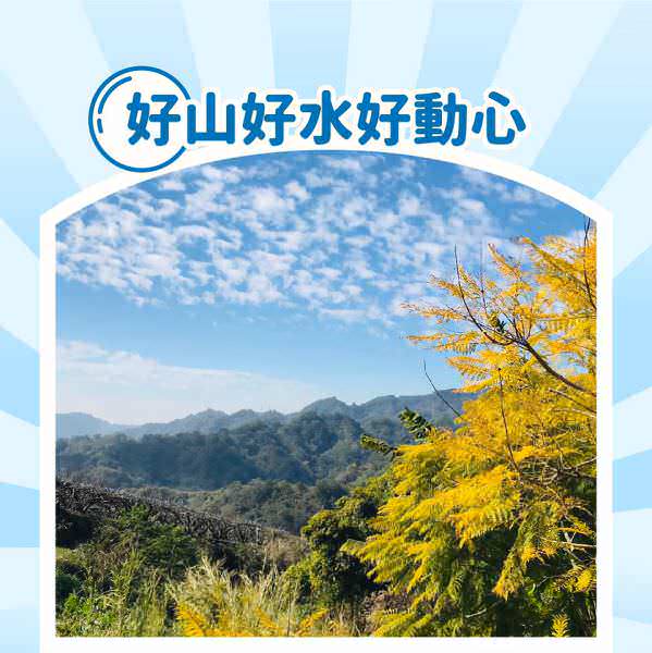 LINE 广告单张图象设计